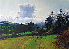 RT3