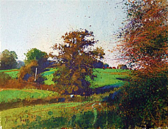 RT1